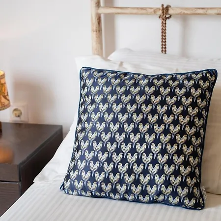 Apartment Faos Luxury Agia Efimia
